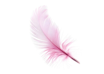 Fototapeta na wymiar pink feather isolated on white or transparent png