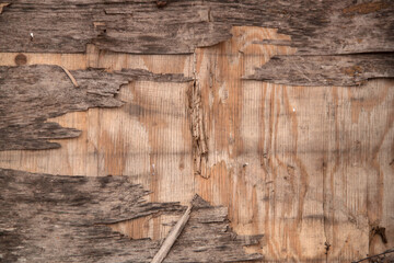 photo texture of old plywood. Texture of old wood. Old weathered texture
