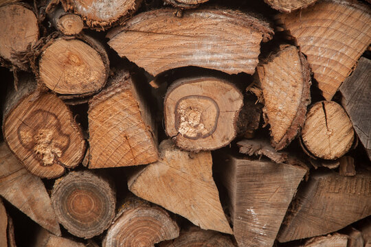 photo texture firewood. Texture firewood wooden natural. design background