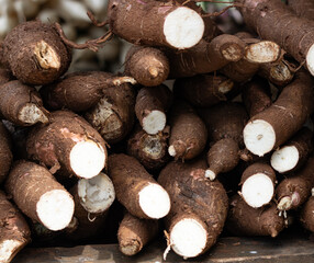 A pile of large, brown, unpeeled tubers