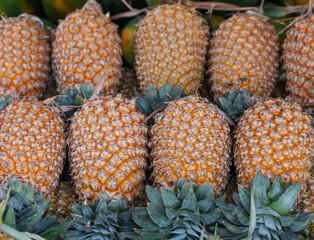 A bunch of pineapples are displayed in a market