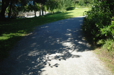 a footpath in a green area, surrounded by trees and grass from both sides, seen on a sunny summer day