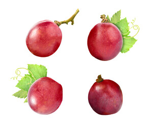 red grapes isolated on transparent background, fruit collection.