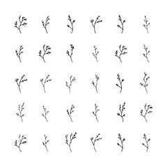 Obraz premium Floral Sprigs Illustration. A group of fine-lined floral sprigs featuring natural details and botanical curves for elegant compositions.