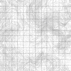 Abstract grayscale topographical map overlaying a gridded background; flowing lines suggest hills and valleys