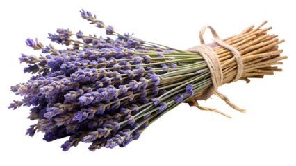 A rustic bundle of dried lavender flowers tied with twine, isolated on a white background