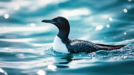 Close-up of a seabird on water.