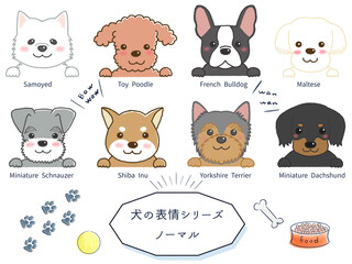 犬種別表情シリーズ　ノーマル