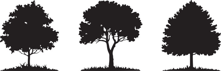 "Silhouette Trio: Tree Diversity in Shadow"
"Three Trees, Three Shapes: Nature's Contrast in Silhouette"
"Tree Silhouettes: From Oak to Pine"