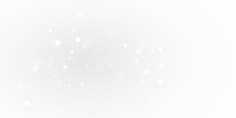 
png white lights bokeh holiday background