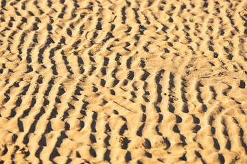 Beach sand background - sea cost detail