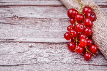 Close-up of fresh redcurrants on a wooden surface wrapped in burlap. Bright summer concept with...