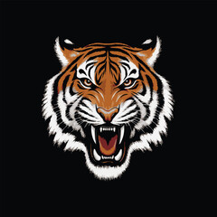 Fototapeta premium tiger face