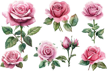 Naklejka premium seamless pattern with pink roses