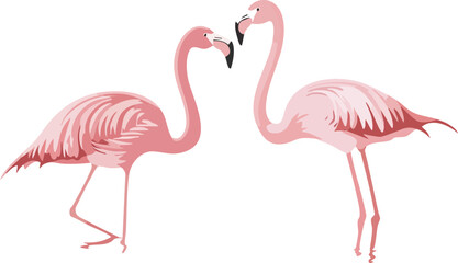 Fototapeta premium pink flamingos isolated on white background
