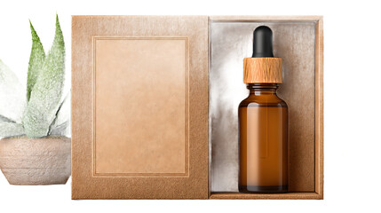Glass Essential Oil Bottle In A Kraft Box With Aloe Plant
