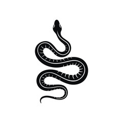 Black coiled serpent with white markings snake reptile