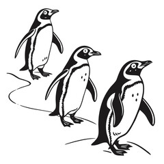 Naklejka premium Three Black and White Penguin Silhouettes on Ice vector