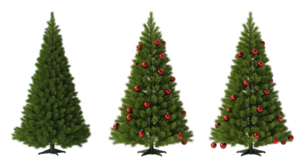 Green Christmas trees with red ornaments isolated on a transparent background evergreen
