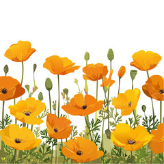 Vibrant field of California poppies in full bloom, with bright orange petals and lush green foliage.
