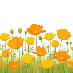 California Poppies Field: A Vibrant Floral Scene in Orange and Yellow