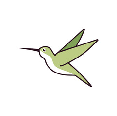 Green hummingbird in flight with dark outline flying nature