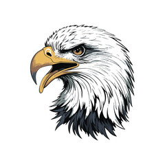 Obraz premium Eagle head