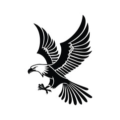 Majestic black eagle descending with wings spread wide bird flying