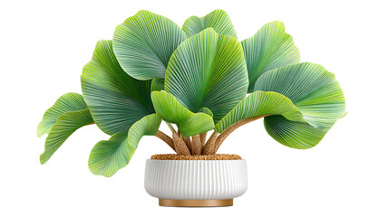 Lush Green Plant in White Textured Pot on Transparent Background