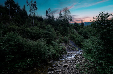 A scenic view of a rugged forest trail with hikers, surrounded by dense trees and a flowing stream...