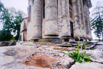 Close-Up of Plant Growing Against Historical Stone Structure in Nature