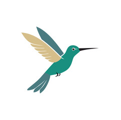 Teal hummingbird with tan and blue wings in flight flying