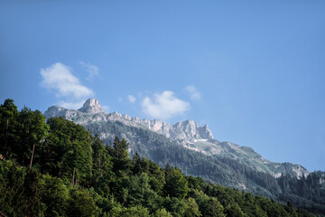 Beautiful Mountain Landscape with Forested Hills and Clear Blue Sky