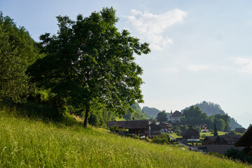 Serene Countryside Scene Featuring Tree and Traditional Village Houses