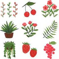 Watercolor element set of nature plants, flowers, fruits and objects on isolated background