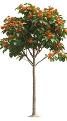 Fototapeta premium Full view of a decorative tree with vibrant orange berries.