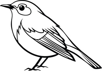 Perched Robin Bird Vector Illustration  
