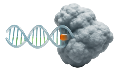 Illustration of PAM sequence recognition by CRISPR-Cas9 complex
