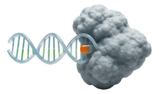 Illustration of PAM sequence recognition by CRISPR-Cas9 complex