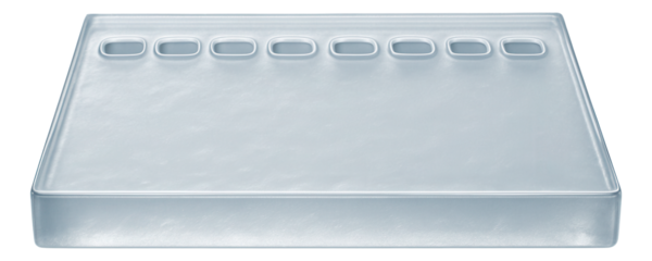 Agarose gel slab with visible wells for sample loading