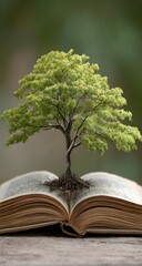 Tree of Knowledge Flourishes from an Open Book