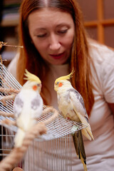 A woman closely observing and interacting with two yellow cockatiels perched on a bird cage in a...