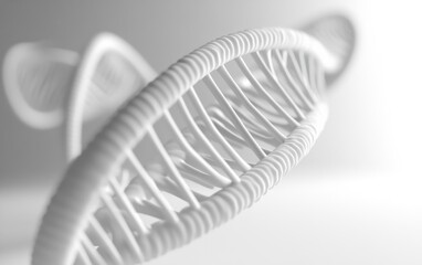 White DNA double helix rendered on white background