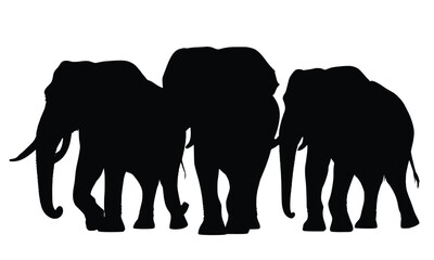 Fototapeta premium Graphic of three elephants in silhouette walking together, ideal for wildlife conservation designs or safari-themed projects.
