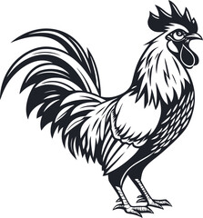 Vector art of a proud rooster standing isolated on white background