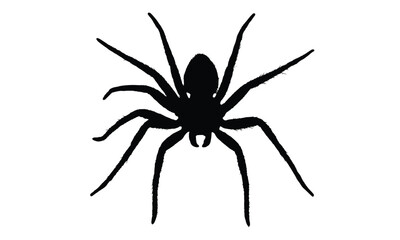 Dark spider arachnid graphic with detailed legs provides a creepy crawly design element, perfect for Halloween themes and scary projects.