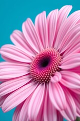 Blossom of Serenity