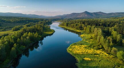Obraz premium Serene aerial view of a meandering river flowing through lush green forests and yellow wildflowers, nestled between tranquil mountains under a clear blue sky