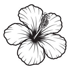 Fototapeta premium Simple black and white line art illustration of a detailed tropical hibiscus flower