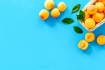 Collect apricots, blue background top view space for text, pattern with leaves